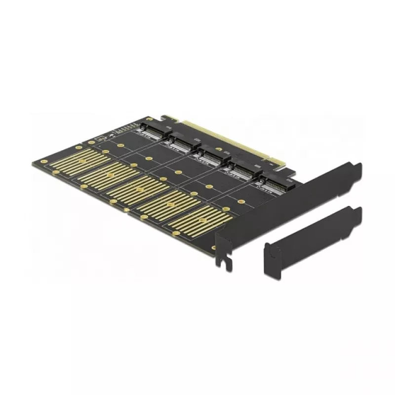 DeLOCK PCI Express x16 kortelė 5 vidiniams M.2 Key B / SATA lizdams