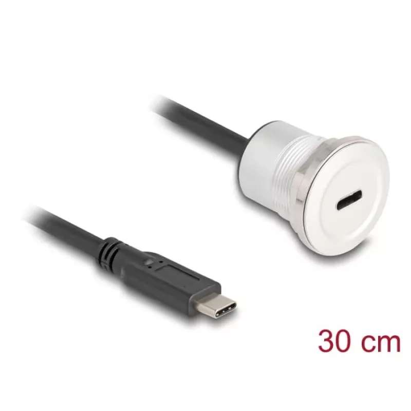 USB laidas DeLOCK 88183 0,3 m USB C juodas sidabrinis