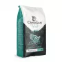 Canagan sausas kačių maistas Dental 1,5 kg