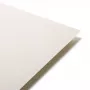 Kartonas, dengtas daugiausia pušies, A4, 300 g, 10 lapų, baltas