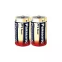 Panasonic Alkaline Pro Power LR20PPG - 2 x D baterijos
