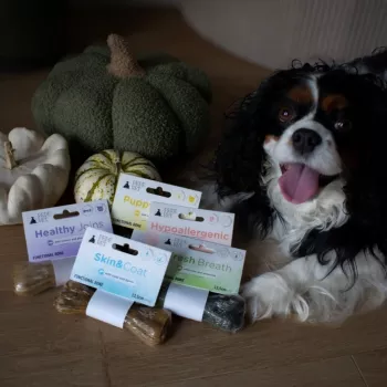 PAKA ZWIERZAKA Pepe Vet Healthy Joints šunų skanėstas 13.5 cm