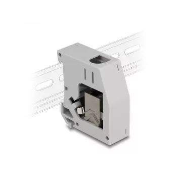 DeLOCK DIN bėgio adapteris RJ45 lizdas į RJ45 lizdą Cat.6A Pilka