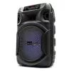 BLUETOOTH GARSIAKALBIS 5.3 E DR PULSETOWER SQ1006