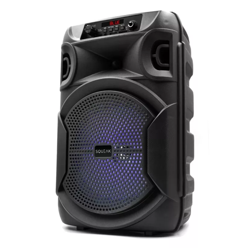 BLUETOOTH GARSIAKALBIS 5.3 E DR PULSETOWER SQ1006