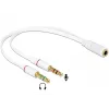 Audio kabelis DeLOCK 65585 0,2 m 2x 3,5 mm kištukas į 3,5 mm lizdą baltas