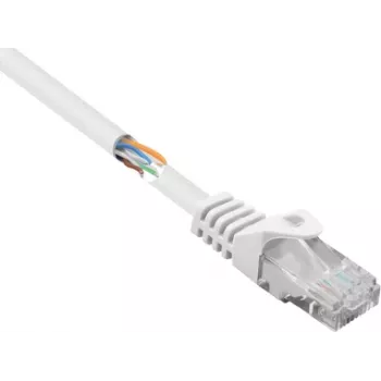 Renkforce RF-5043828 Ethernet komutacinis kabelis, baltas