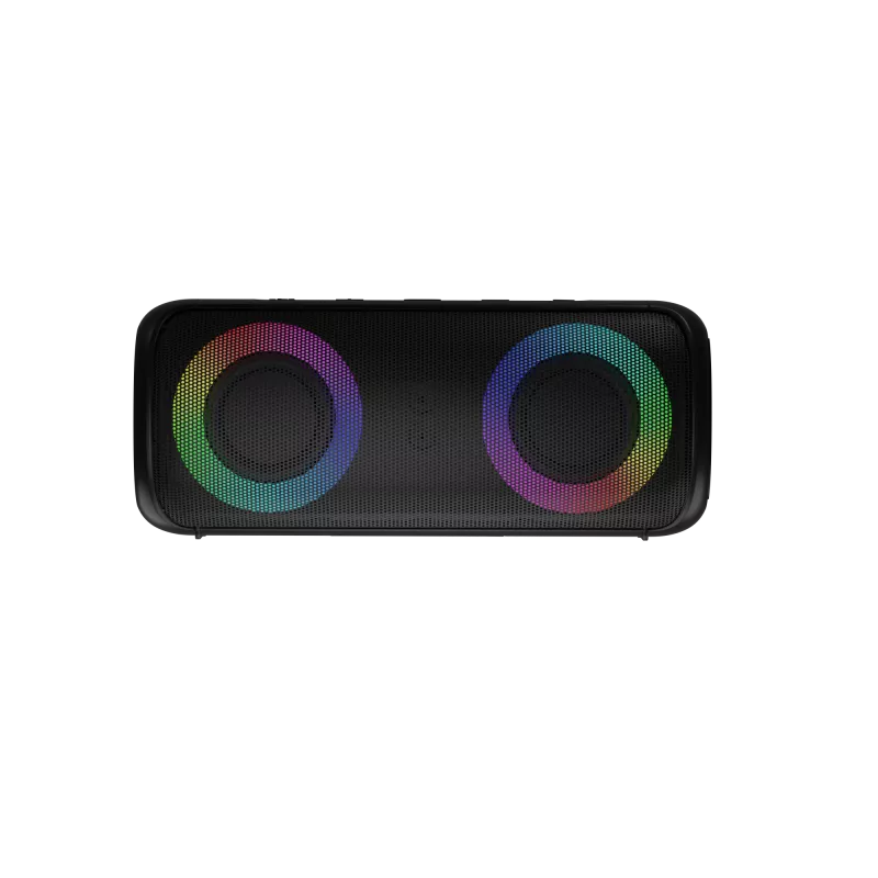 Stereo nešiojamas garsiakalbis Audictus Aurora Pro 20 W