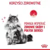 ROYAL CANIN Hair&Skin Care Adult - sausas kačių ėdalas - 400g