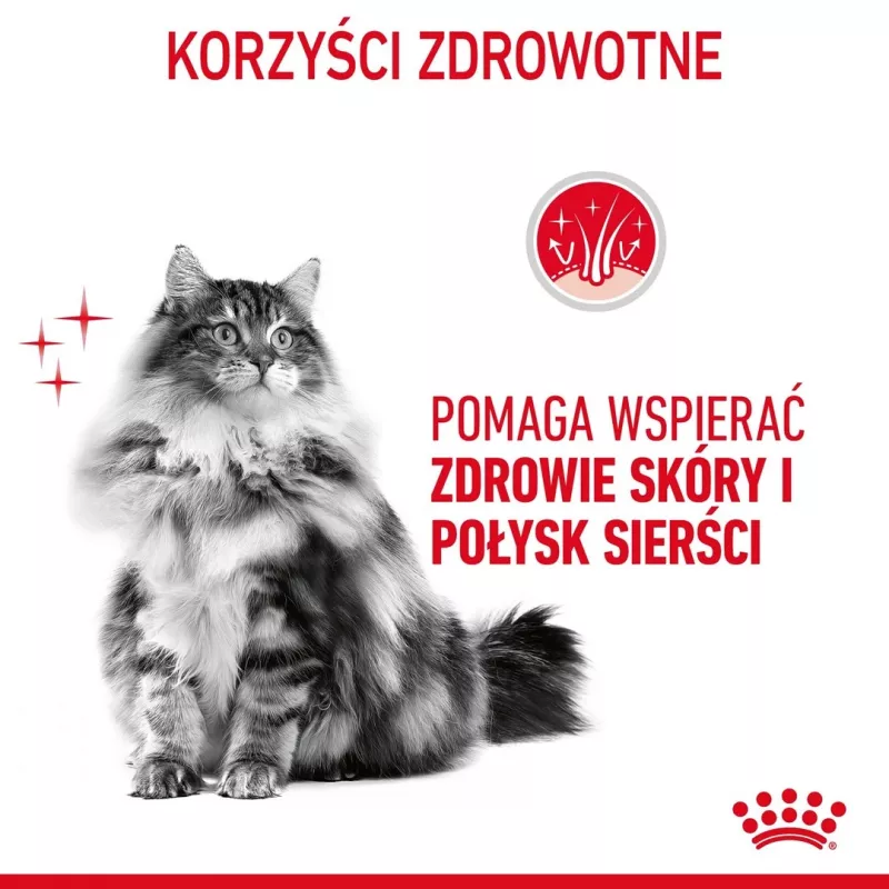 ROYAL CANIN Hair&Skin Care Adult - sausas kačių ėdalas - 400g