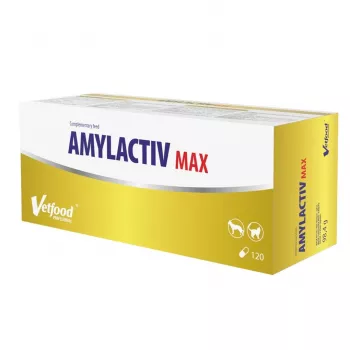 Maisto papildas Vetfood Amylactiv MAX — virškinimą palaikančios tabletės šunims ir katėms, 120 kapsulių, 100 g, be sojų ir glitimo