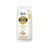 Brit Fresh Adult sausas pašaras suaugusiems šunims 12 kg, vištiena, obuolys, grikiai, bulvės