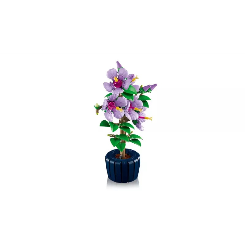 LEGO botanikos konstravimo rinkinys Hibiscus Flower 10372 – 660 dalių, demonstracinis modelis, 250×360×130 mm