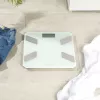 Stiklinė analizės svarstyklė Salter SA00601WCFEU12
