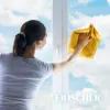 Stiklo valiklis FRISCHER FR00233_500 0,5 L su apsaugos nuo garų funkcija