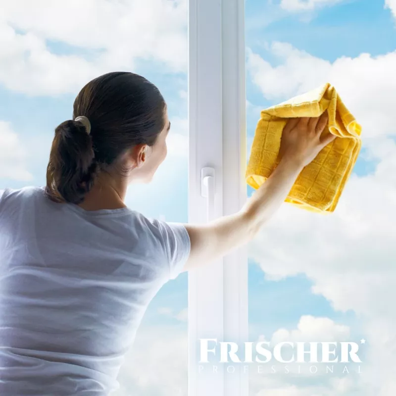 Stiklo valiklis FRISCHER FR00233_500 0,5 L su apsaugos nuo garų funkcija