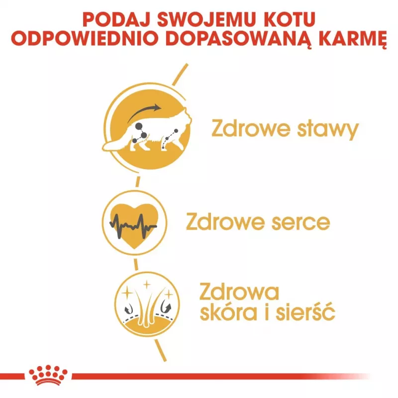 Sausas kačių maistas Royal Canin Maine Coon Adult 10 kg — paukštiena (vištiena), 31% baltymų, 20% riebalų