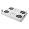 Digitus DN-19 FAN-4-SRV gaminys pilkas