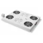 Digitus DN-19 FAN-4-SRV gaminys pilkas