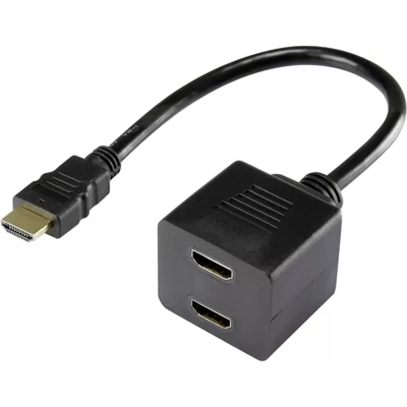 HDMI laidas Renkforce RF-4212177 0,2 m