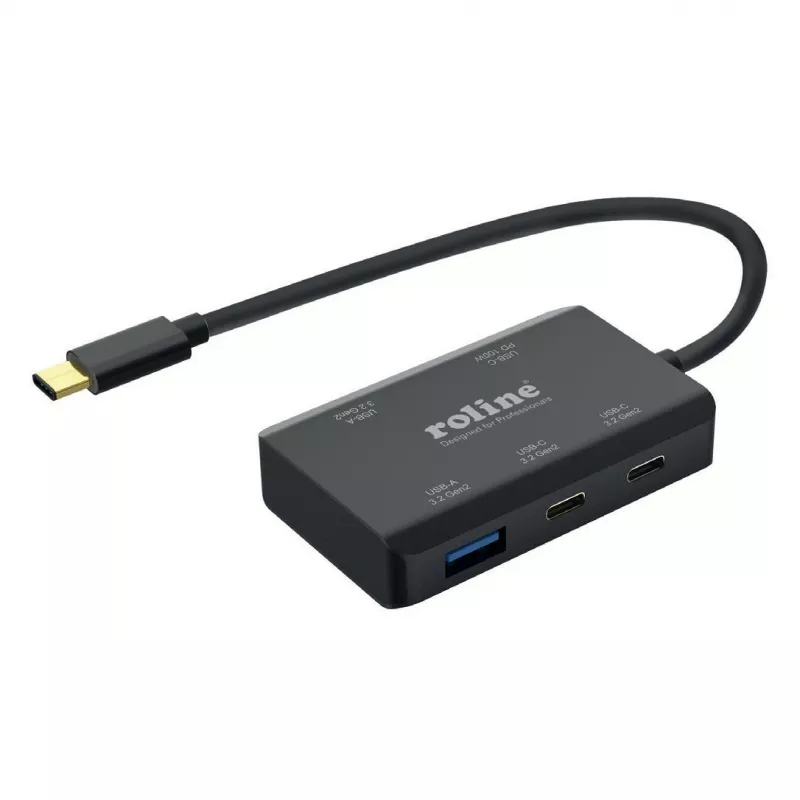 ROLINE USB 3.2 Gen 2 šakotuvas, 4 prievadų (2x USB-A + 2x USB-C), PD, Type C prijungimo kabelis (14.02.5060)