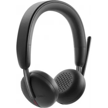 Ausinės Dell belaidėms ausinėms WL3024