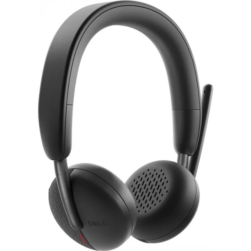 Ausinės Dell belaidėms ausinėms WL3024