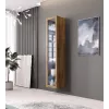 Vitrina Cama Meble VIGO 180 — montuojama prie sienos stiklinė spinta, 1800×400×300 mm, wotan ąžuolas