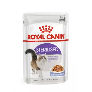 ROYAL CANIN FHN Sterilised padaže – drėgnas suaugusių kačių maistas – 12x85g