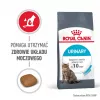 Royal Canin Urinary Care sausas kačių maistas 4 kg