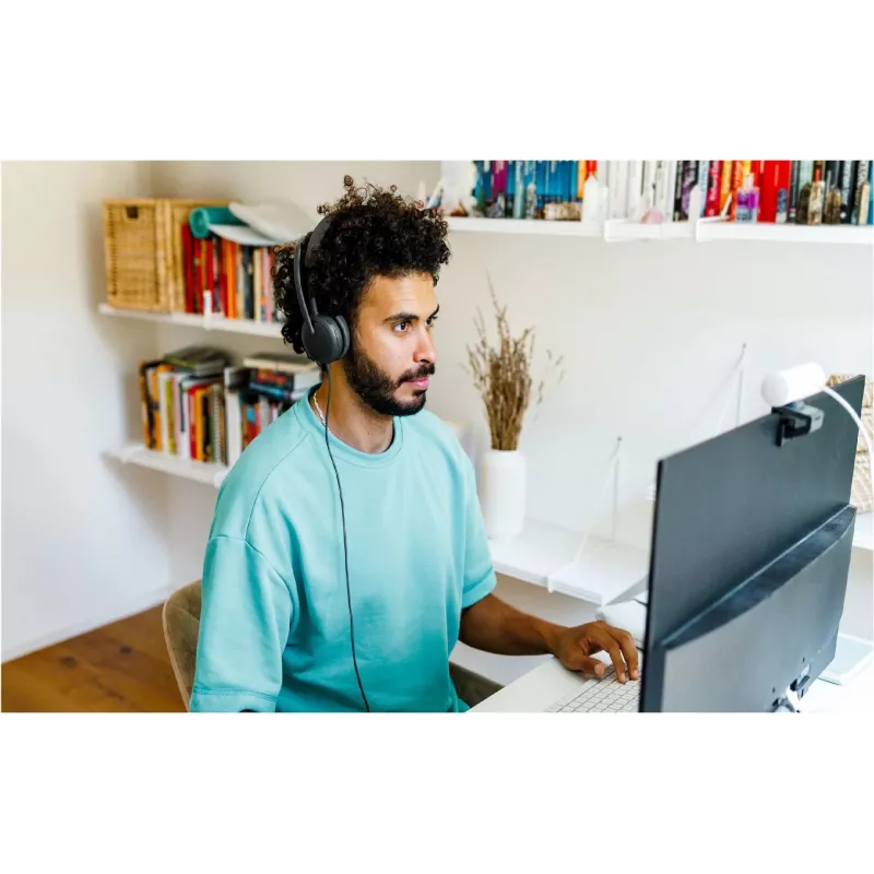 Logitech Zone Wired 2 - ausinės - ant ausies, grafito spalvos, 981-001619 (981-001619)