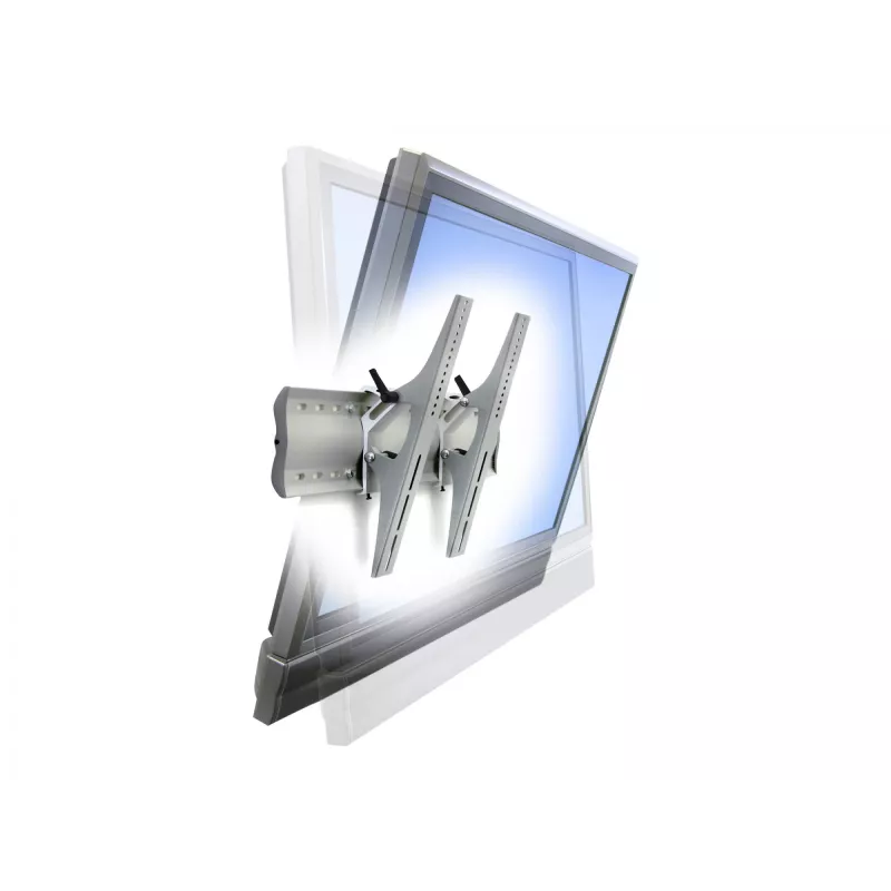 TV laikiklis Ergotron 61-143-003 Sidabrinis