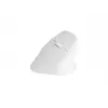 NATEC Crake 2 pelė, universali, dešiniarankiams, RF belaidė + Bluetooth optinė 2400 DPI