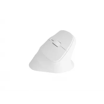NATEC Crake 2 pelė, universali, dešiniarankiams, RF belaidė + Bluetooth optinė 2400 DPI