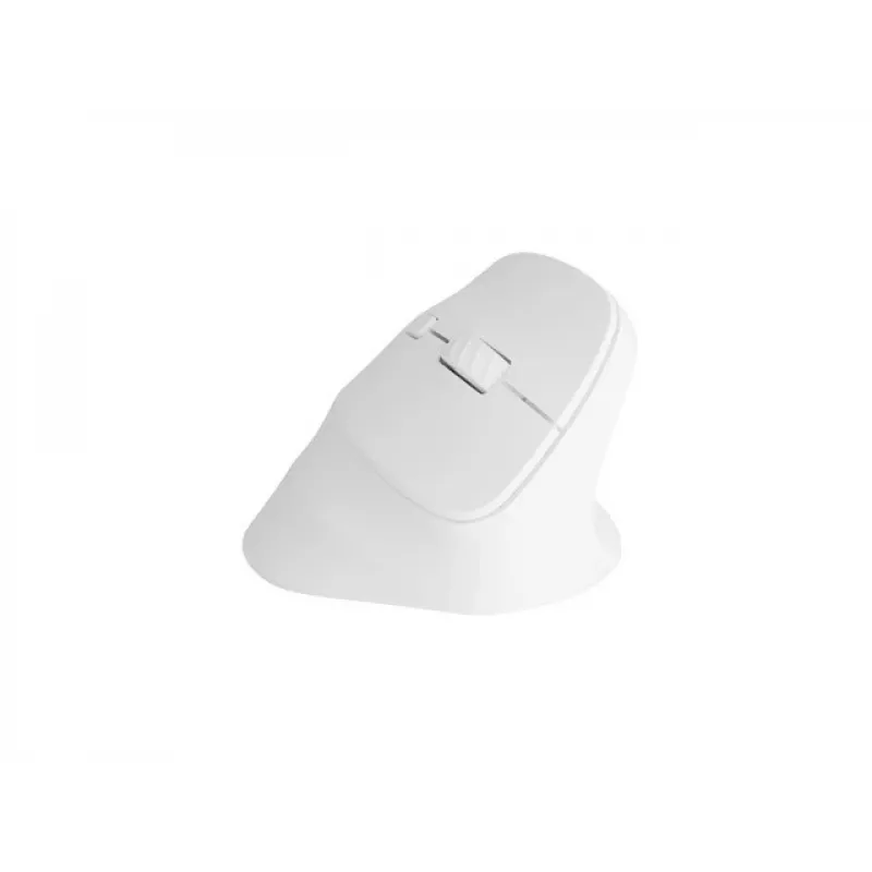 NATEC Crake 2 pelė, universali, dešiniarankiams, RF belaidė + Bluetooth optinė 2400 DPI