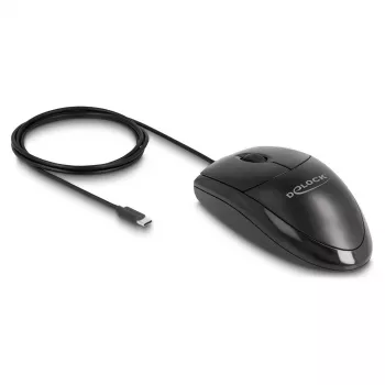 Pelė DeLOCK 12114 USB Type-C optinė abiem rankoms tinkama