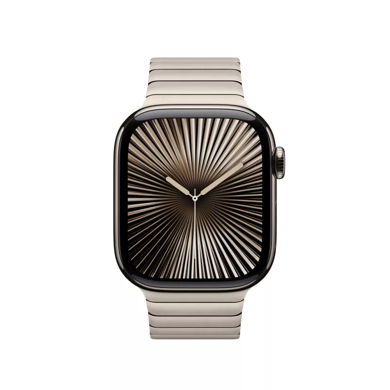 Apple 42mm natūralus grandinėlės apyrankė