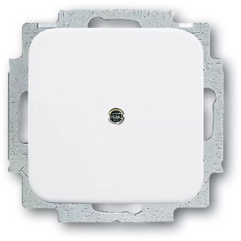 Elektrinio jungiklio priedas Busch-Jaeger 2538-214 — baltas priedas jungikliams ir rėmeliams