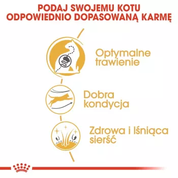 Royal Canin Bengal Adult sausas kačių ėdalas, 2 kg, paukštiena ir daržovės