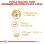 Sausas kačių ėdalas Royal Canin Bengal Adult 2 kg — paukštiena, 40 % baltymų, 18 % riebalų, virškinimo ir odos priežiūra