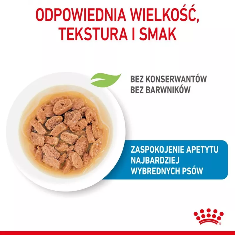ROYAL CANIN SHN Mini Puppy padaže - drėgnas šuniukų maistas - 12X85g