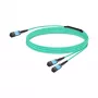 Tinklo kabelis Nvidia MFP7E20-N010 InfiniBand 10m MPO 2x MPO mėlynas