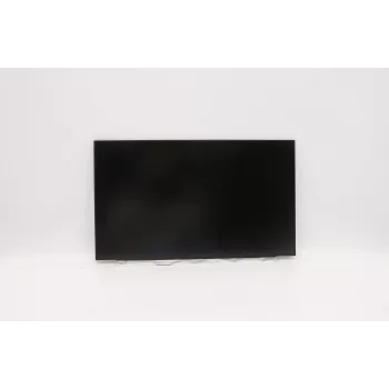 Lenovo DISPLAY INX 15.6 FHD IPS AG (5D10V82391)