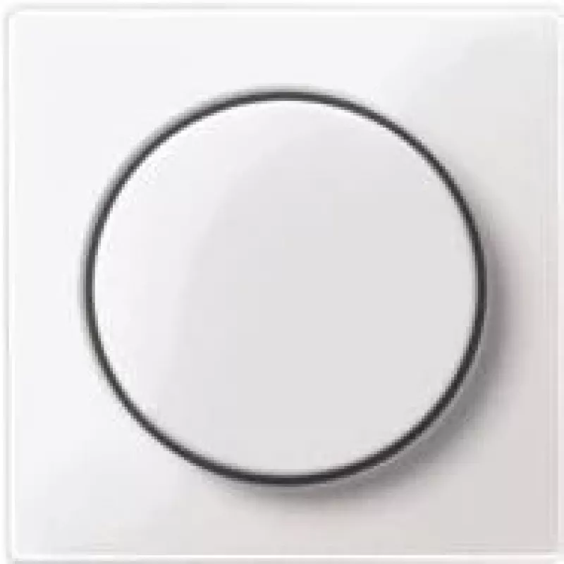 Merten MEG5250-0325 tinklo įrenginys, baltas