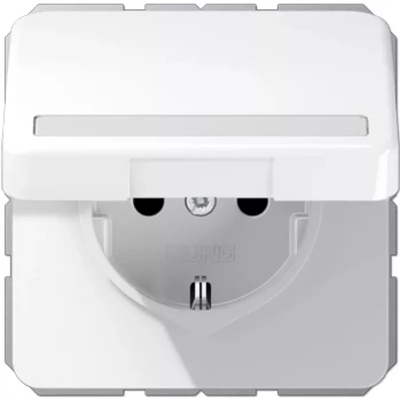 Kištukinio lizdo dėžutė JUNG CD 1520 BFNAKL WW Schuko F tipas 16A 250V Balta