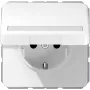 Kištukinio lizdo dėžutė JUNG CD 1520 BFNAKL WW Schuko F tipas 16A 250V Balta