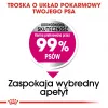 Sausas šunų maistas Royal Canin Mini Exigent 1 kg — mažų veislių senjorams, 30 % baltymų, 22 % riebalų