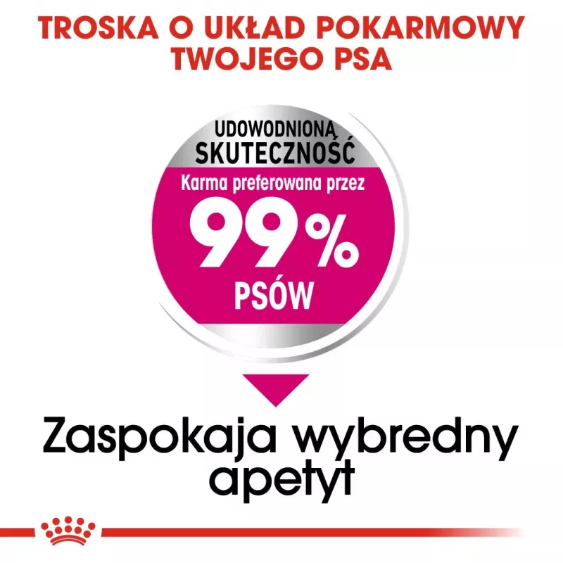 Sausas šunų maistas Royal Canin Mini Exigent 1 kg — mažų veislių senjorams, 30 % baltymų, 22 % riebalų