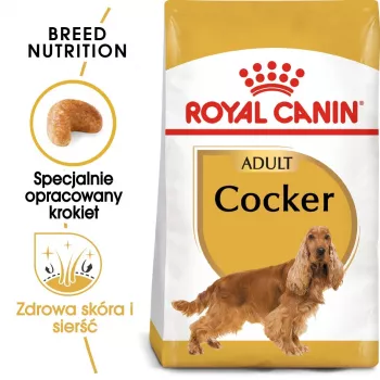 Royal Canin Cocker Adult sausas ėdalas šunims, 12 kg