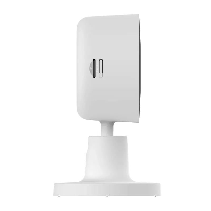 Xiaomi Smart Camera C100 3MP 2304x196 vidaus belaidė IP apsaugos kamera